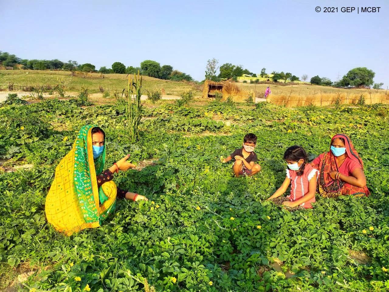 Regenerative Agriculture