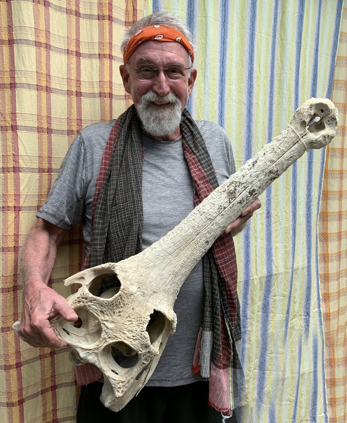 Dr Jeff Lang with a gharial skull.