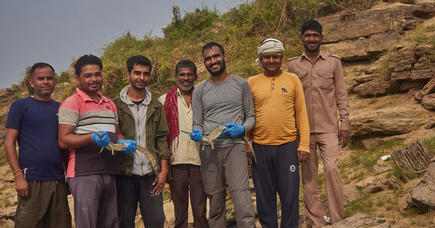 With young gharials before release.